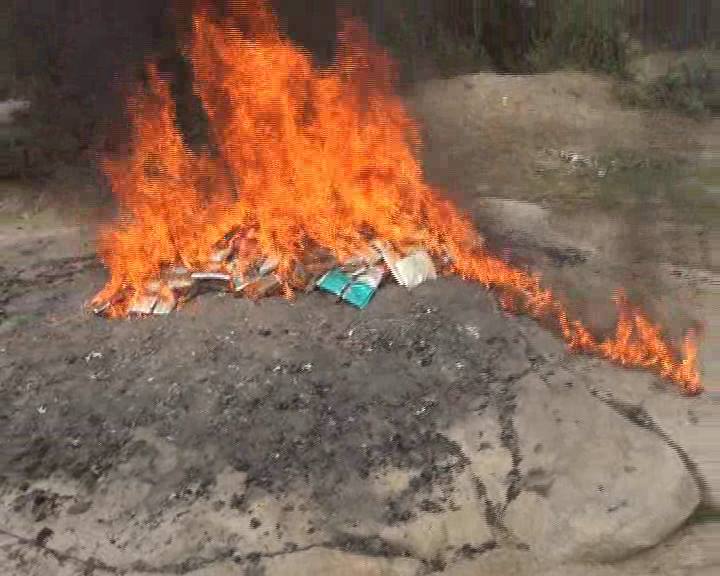 شاهد بالصور : اللجان الشعبية تحرق 134 كيلو من مادة الحشيش بتهامة محافظة الحديدة كانت في طريقها إلى السعودية
