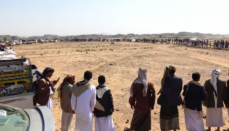 قبائل صبر بني معاذ في سحار بصعدة يسيرون قافلة غذائية دعما للمجاهدين (صور)