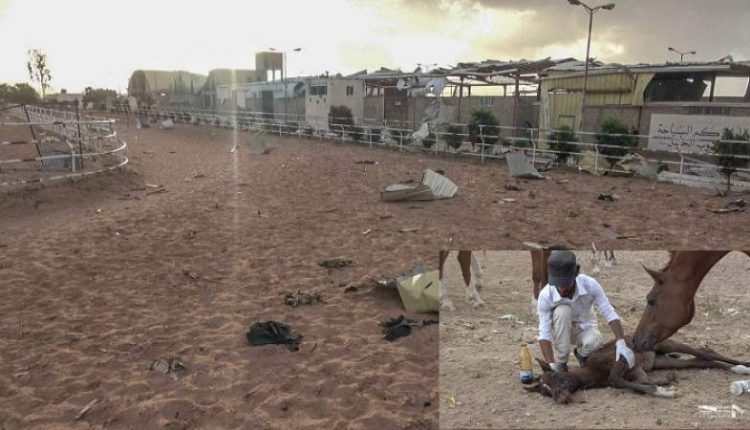 اللجنة المؤقتة لاتحاد الفروسية تدين استهداف جناح الفروسية بالكلية الحربية