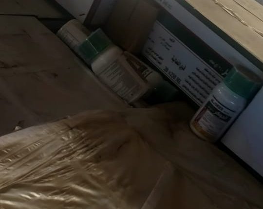 WhatsApp Image 2021-12-22 at 12.04.12 AM