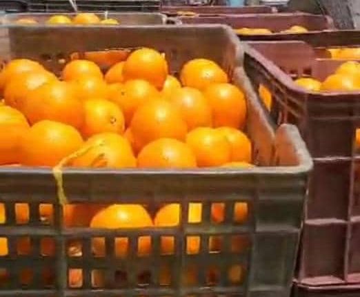 4648b168-2cf0-4c66-9f04-fd5bf404a5b4